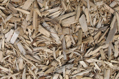 biomass boilers Butterleigh