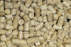 Butterleigh biomass boiler costs